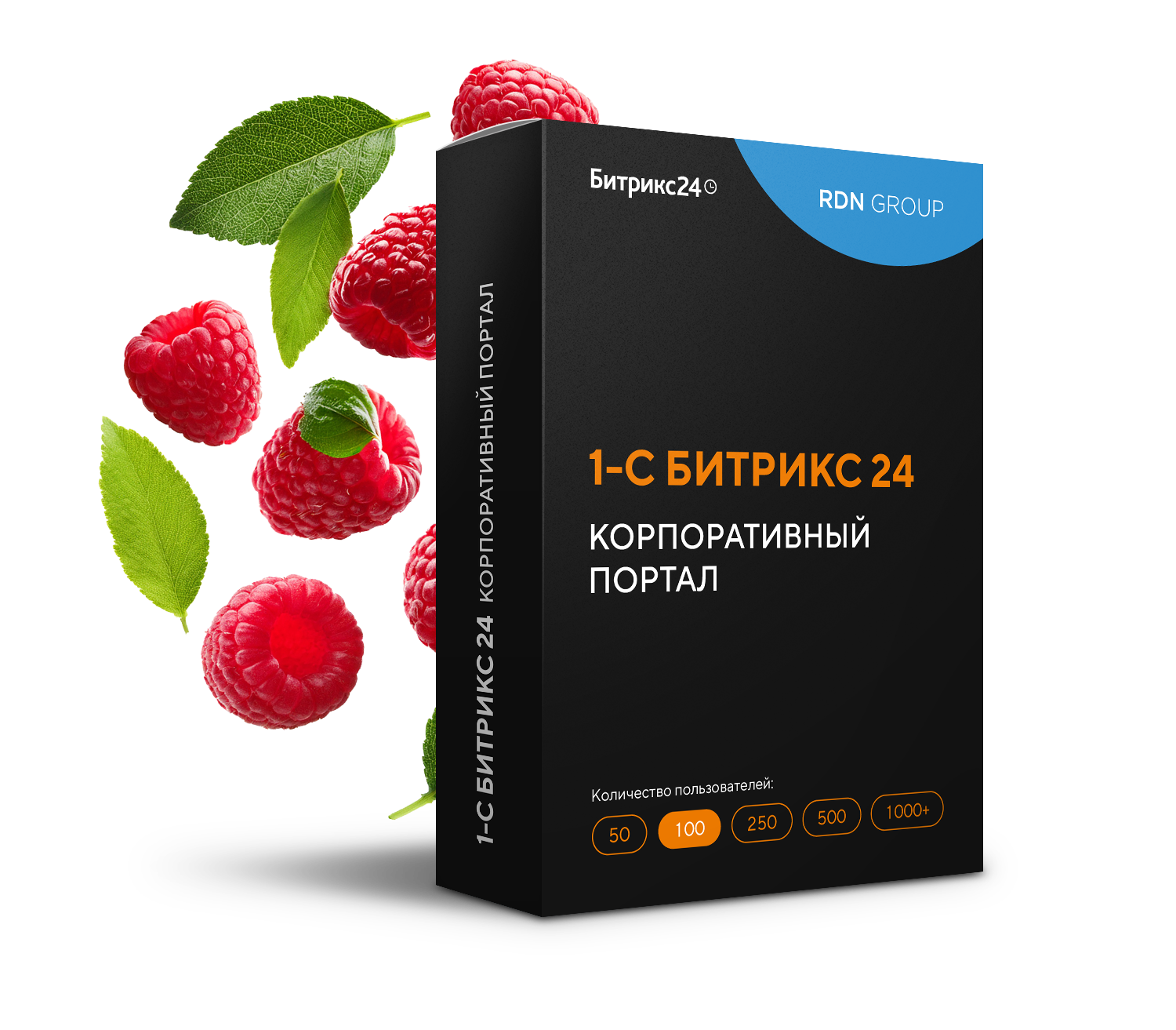 Лицензия Битрикс24 Корпоративный портал 100