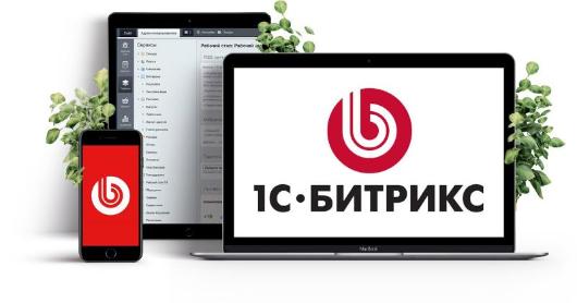 Разработка мобильных приложений