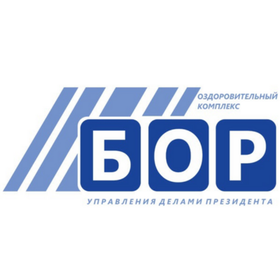 Внедрение CRM-системы для оздоровительного комплекса "Бор"