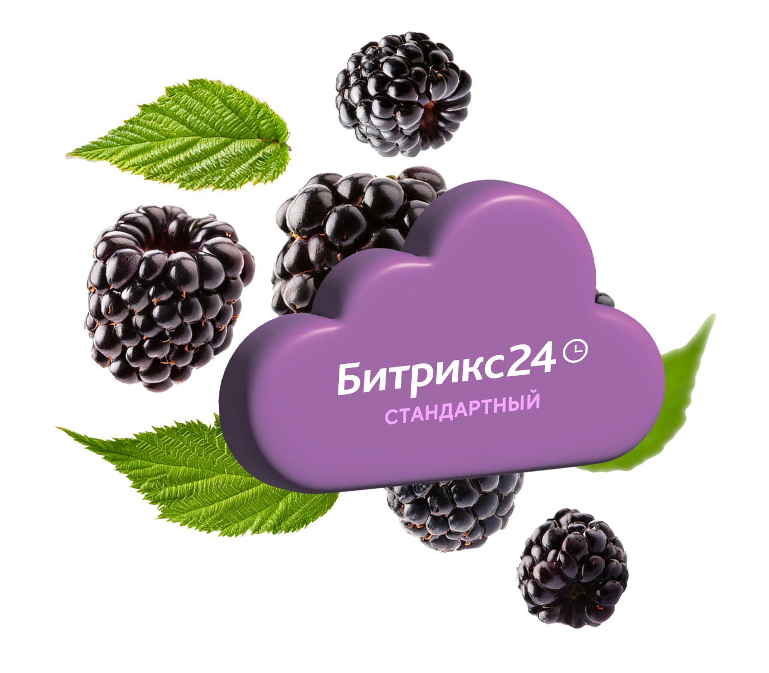 Тариф Битрикс24 "Стандартный"