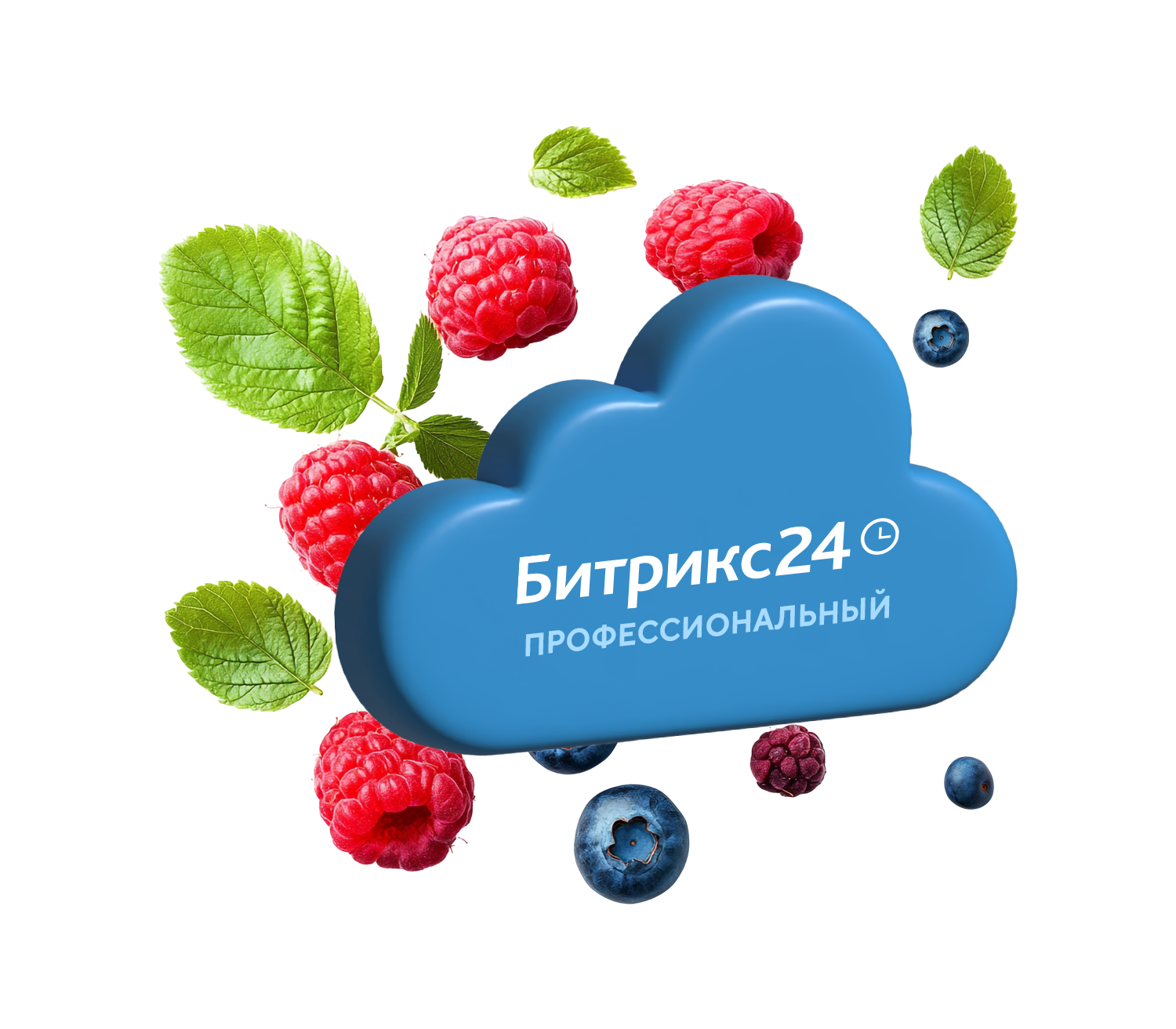 Тариф Битрикс24 "Профессиональный"
