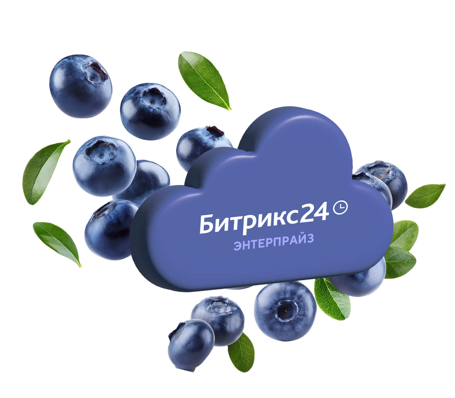 Тариф Битрикс24 "Энтерпрайз"
